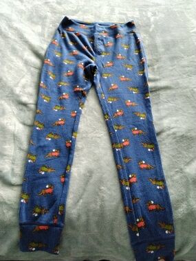 aerie Blue Thermal Pajama Bottoms/ Long Johns with Dauchand Motif